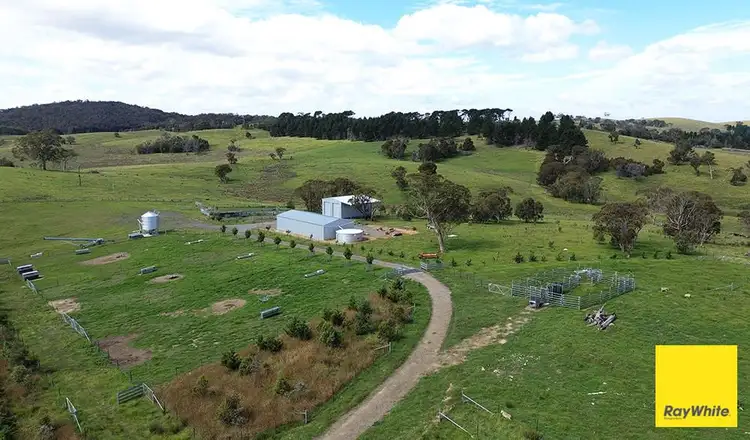 Fourth view of Homely rural property listing, 600 Mount Fairy Road, Mount Fairy NSW 2580