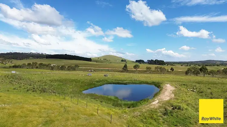 Fifth view of Homely rural property listing, 600 Mount Fairy Road, Mount Fairy NSW 2580