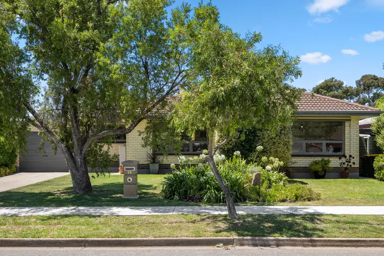 11 Douglas Street, Marion SA 5043