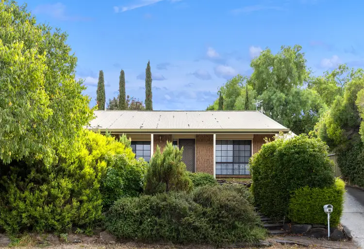 19 Lubbock Court, Wynn Vale SA 5127