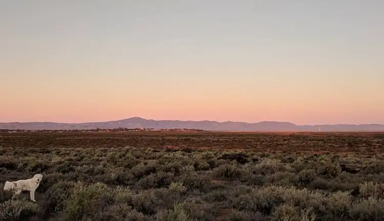 345C Caroona Road, Port Augusta West SA 5700