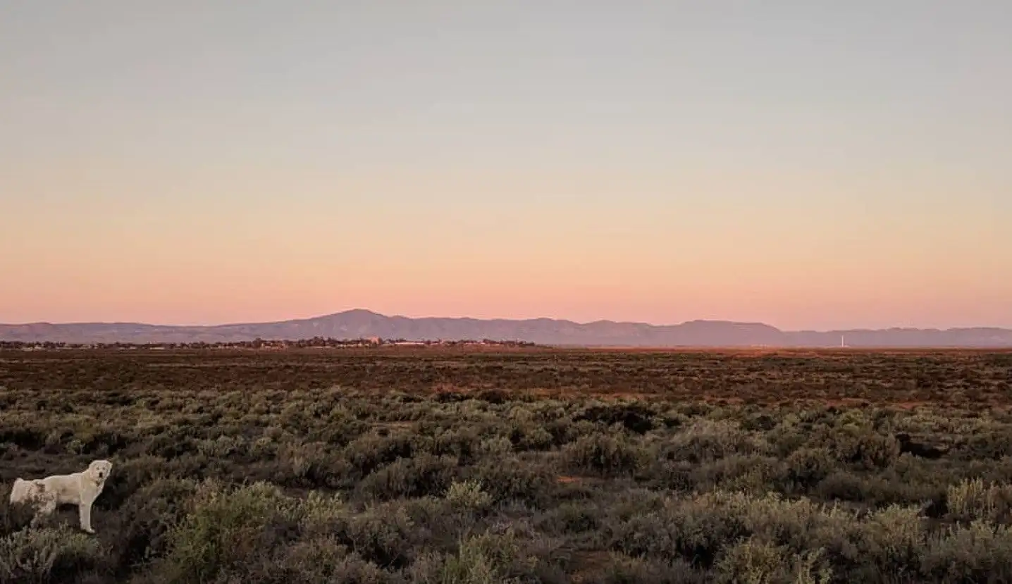 Main view of Homely land listing, 345C Caroona Road, Port Augusta West SA 5700