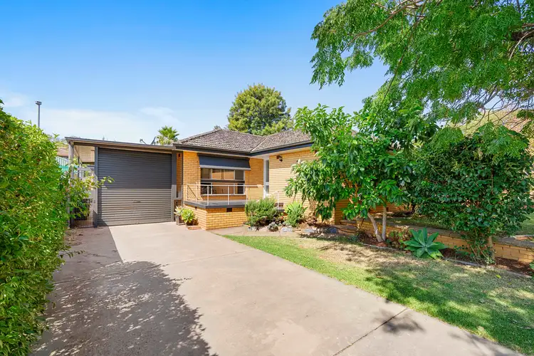 Main view of Homely house listing, 31 Waranga Avenue, Mount Austin NSW 2650