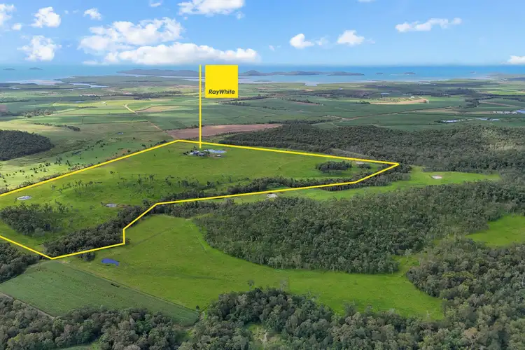 Second view of Homely rural property listing, 468 Longmile Road, Mount Ossa QLD 4741