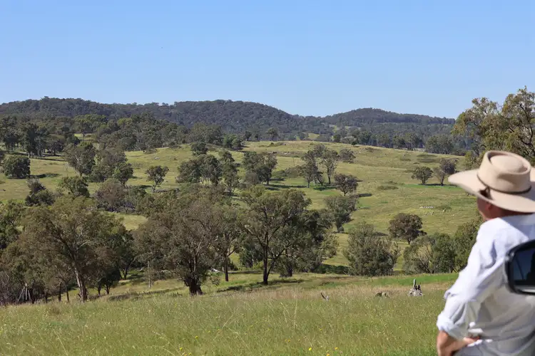 Main view of Homely rural property listing, 380 Nandi Road, Canyonleigh NSW 2577