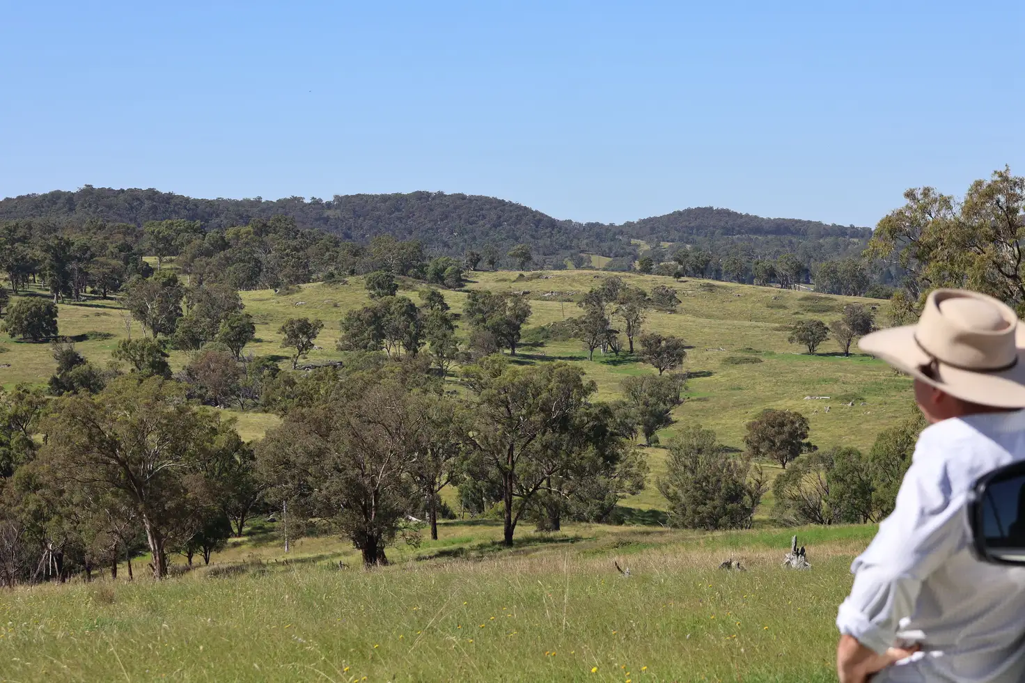 Main view of Homely rural property listing, 380 Nandi Road, Canyonleigh NSW 2577