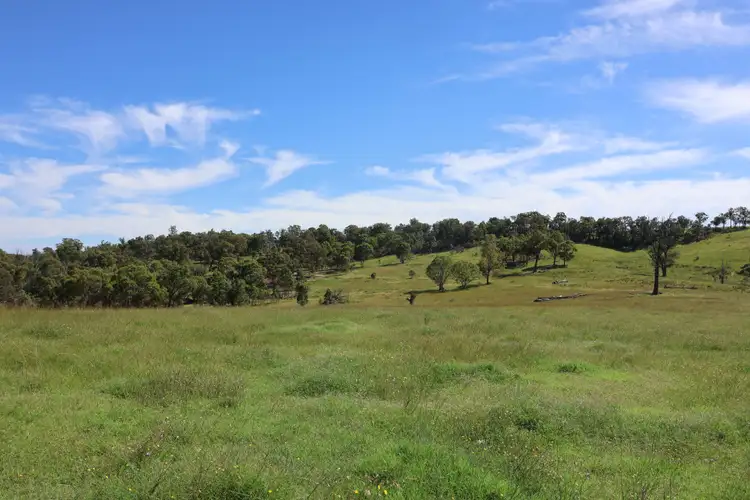 Second view of Homely rural property listing, 380 Nandi Road, Canyonleigh NSW 2577