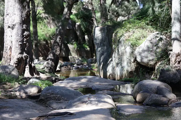 Fifth view of Homely rural property listing, 380 Nandi Road, Canyonleigh NSW 2577