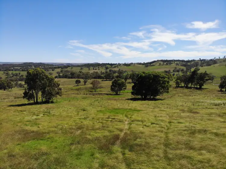 Sixth view of Homely rural property listing, 380 Nandi Road, Canyonleigh NSW 2577