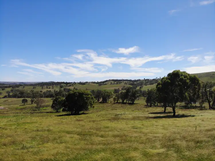 Seventh view of Homely rural property listing, 380 Nandi Road, Canyonleigh NSW 2577