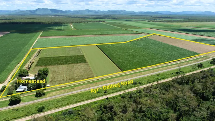 Second view of Homely rural property listing, 5806 Ayr Dalbeg Road, Millaroo QLD 4807