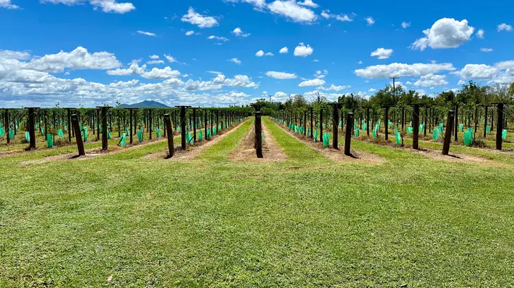 Fifth view of Homely rural property listing, 5806 Ayr Dalbeg Road, Millaroo QLD 4807