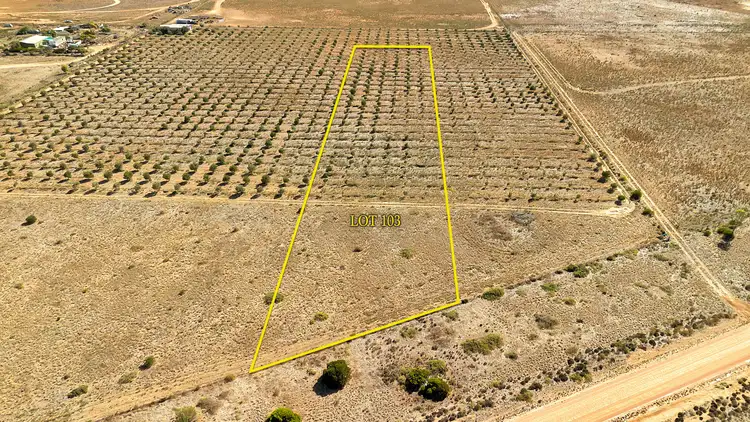 Main view of Homely land listing, Lot 103 Schutt Road, Dublin SA 5501