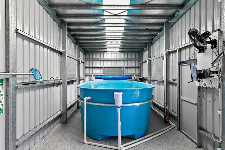 Fourth view of Homely house listing, 52 Haydn Drive, Kawungan QLD 4655