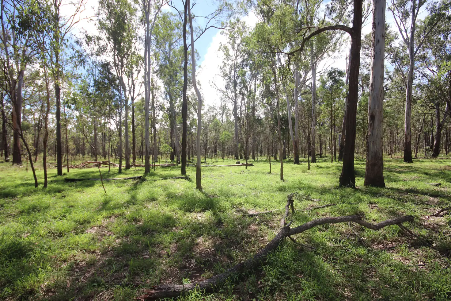 Main view of Homely rural property listing, Address available on request