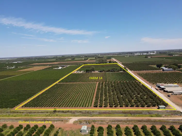 Main view of Homely rural property listing, Farm 14 Sainty Road, Hanwood NSW 2680