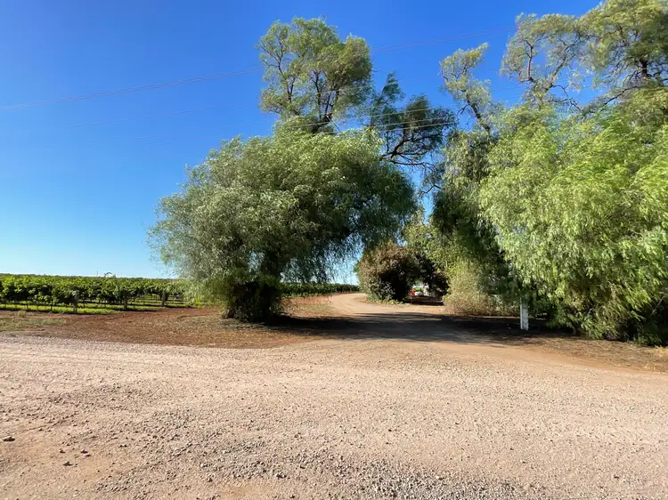 Second view of Homely rural property listing, Farm 14 Sainty Road, Hanwood NSW 2680