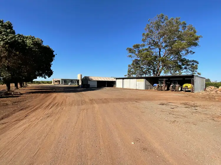 Fourth view of Homely rural property listing, Farm 14 Sainty Road, Hanwood NSW 2680