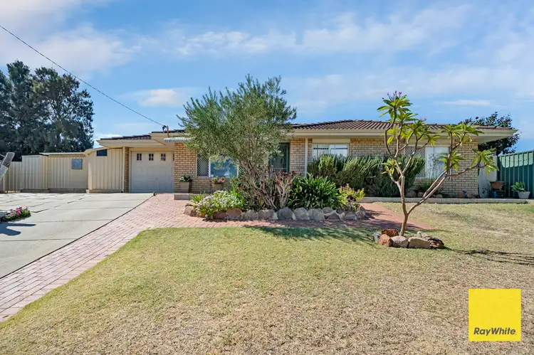 Main view of Homely house listing, 11 Rowe Place, Midland WA 6056