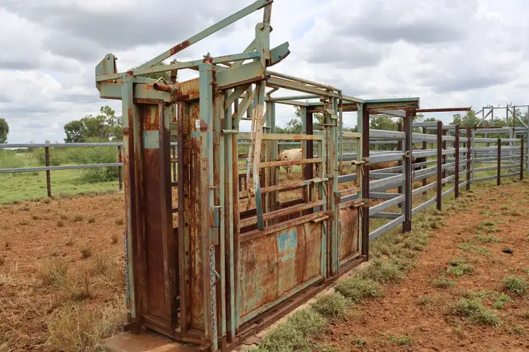 Fifth view of Homely rural property listing, Lot 7 Ravensbourne Road, Blackall QLD 4472