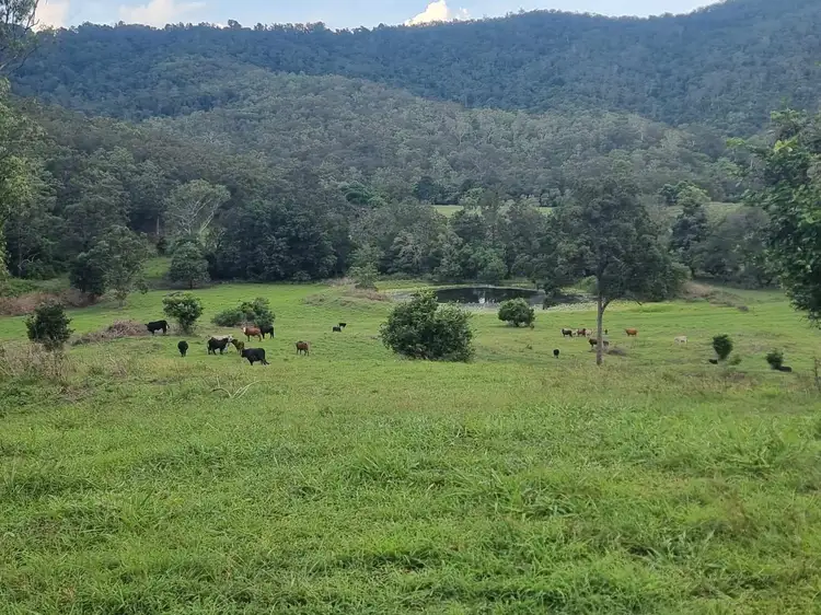 Fifth view of Homely rural property listing, 488 Upper Alligator Creek Road, Sarina QLD 4737