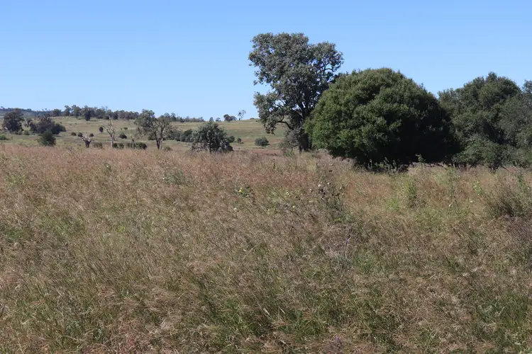 Seventh view of Homely rural property listing, 'Okeden' Okeden Byanda Road, Speedwell, Proston QLD 4613