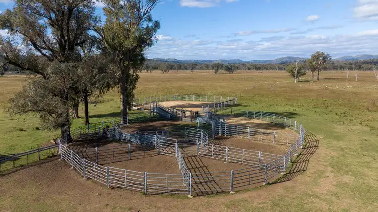 Second view of Homely rural property listing, 5309 Thunderbolts Way, Abington NSW 2350