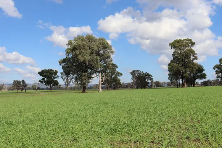 Fourth view of Homely rural property listing, 5309 Thunderbolts Way, Abington NSW 2350