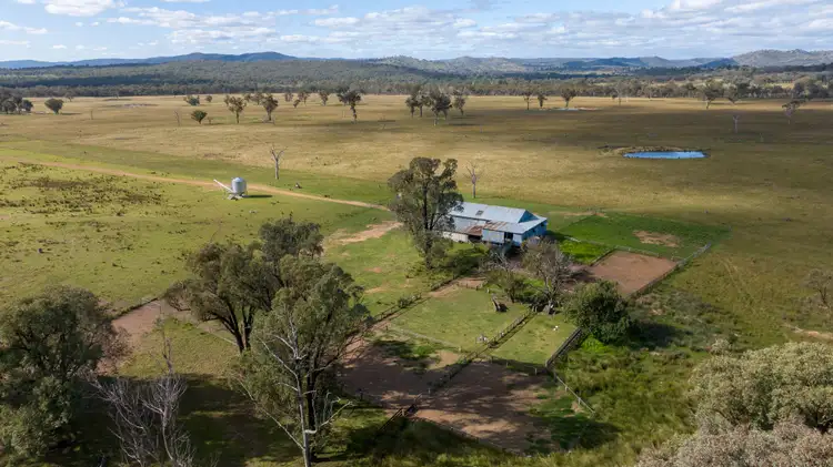 Fifth view of Homely rural property listing, 5309 Thunderbolts Way, Abington NSW 2350