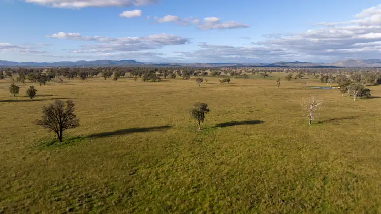 Seventh view of Homely rural property listing, 5309 Thunderbolts Way, Abington NSW 2350