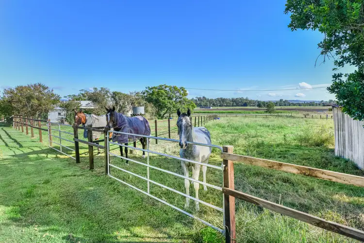 Fifth view of Homely house listing, 5 Peters Road, Fassifern Valley QLD 4309
