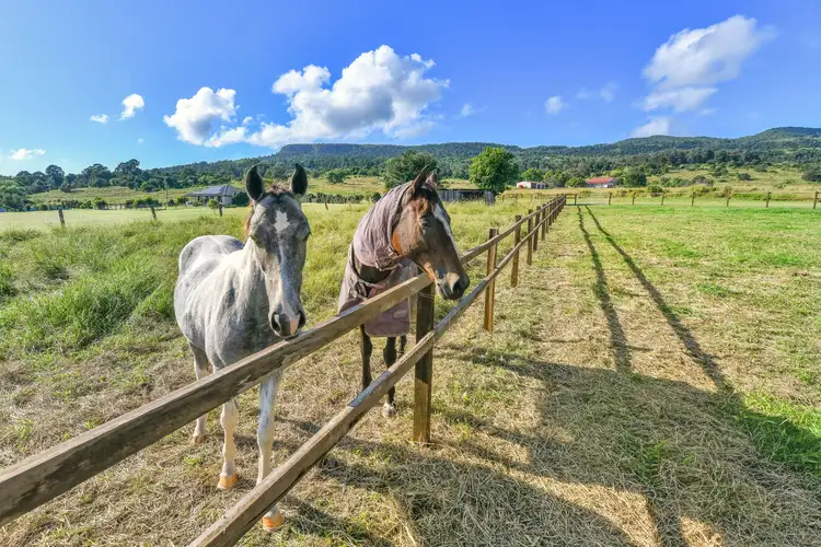 Sixth view of Homely house listing, 5 Peters Road, Fassifern Valley QLD 4309
