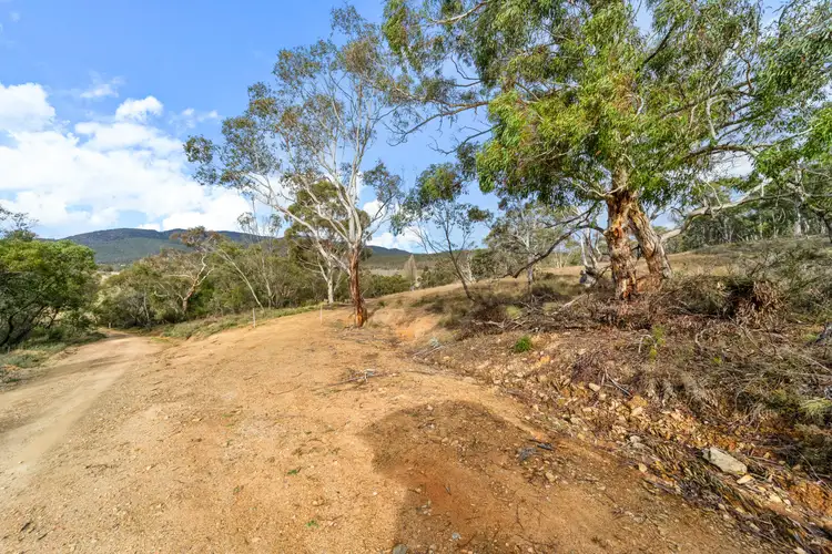 Fourth view of Homely rural property listing, 118 Peak View Road, Numeralla NSW 2630