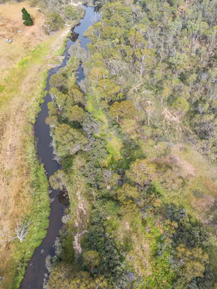 Seventh view of Homely rural property listing, 118 Peak View Road, Numeralla NSW 2630