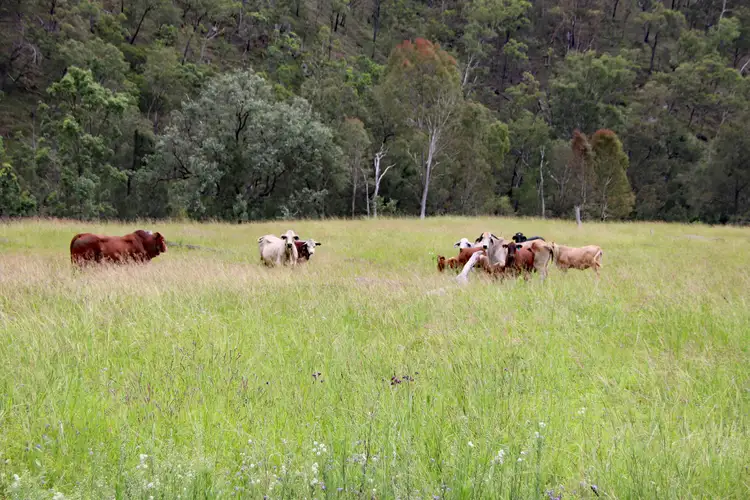 "Twin Creeks" 1472 Twin Creeks Road, Yarrol QLD 4630