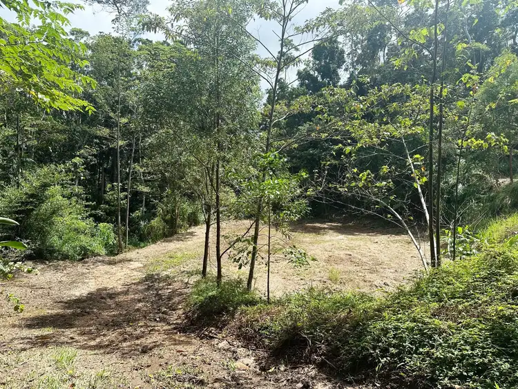 Fifth view of Homely land listing, 2-4 Thongon Street, Kuranda QLD 4881
