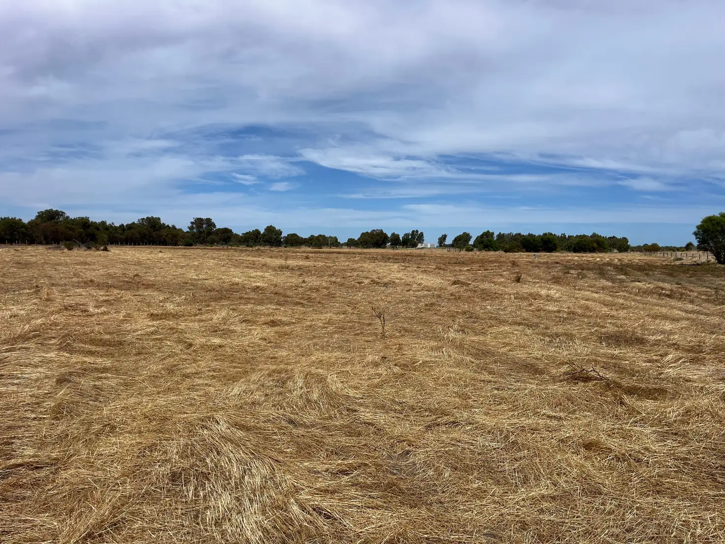 Main view of Homely land listing, LOT 13 Seaford Road, Muchea WA 6501