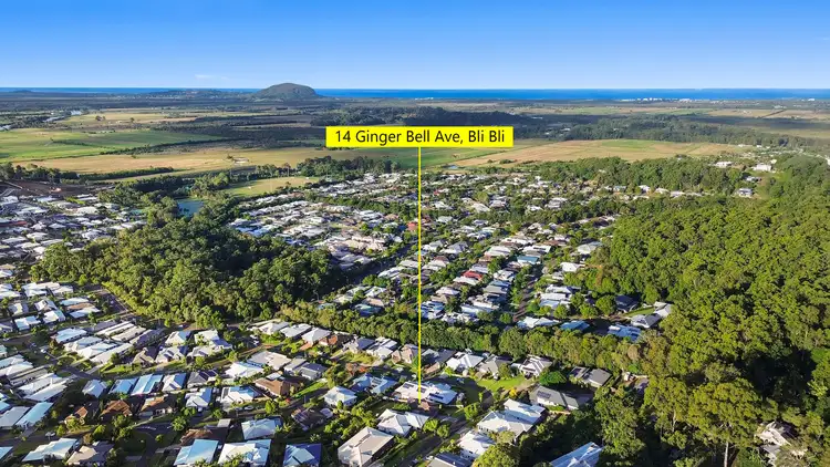 Third view of Homely house listing, 14 Ginger Bell Avenue, Bli Bli QLD 4560