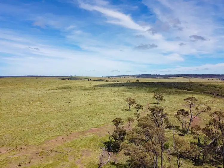 Fourth view of Homely rural property listing, "Valencia" 1164 Camboon Road, Harrami QLD 4630
