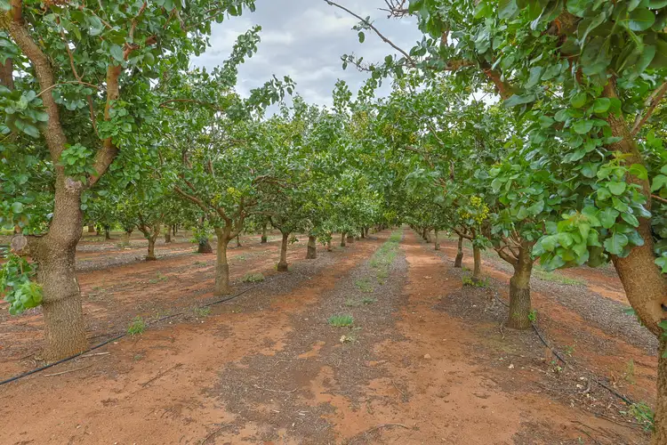 Fourth view of Homely house listing, 23 Willox Road, Swan Hill VIC 3585