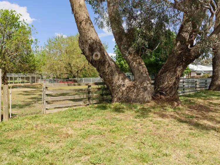 Second view of Homely land listing, 12 Pinniger Street, Avenel VIC 3664