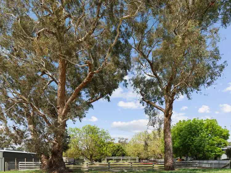 Fourth view of Homely land listing, 12 Pinniger Street, Avenel VIC 3664