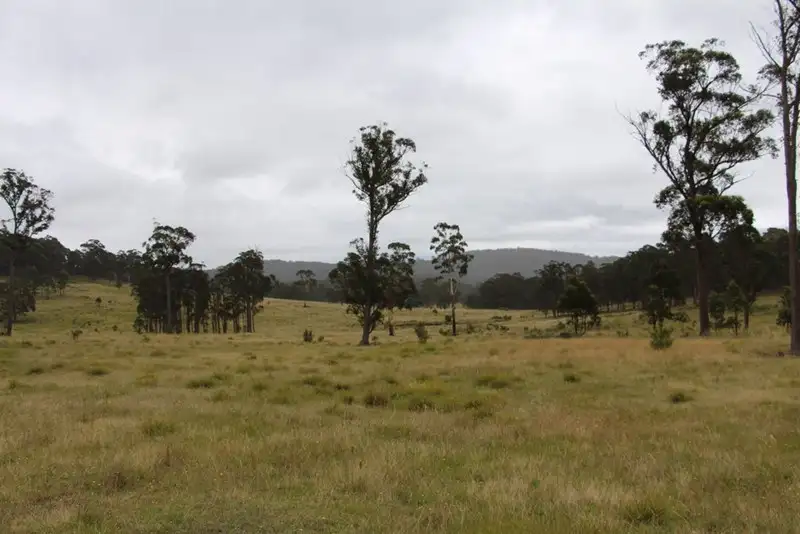 Main view of Homely rural property listing, 1764 "Westwood" Guyra Road, Wongwibinda NSW 2350