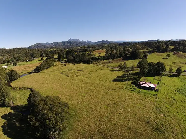 Main view of Homely rural property listing, 491 Nobbys Creek Road, Nobbys Creek NSW 2484