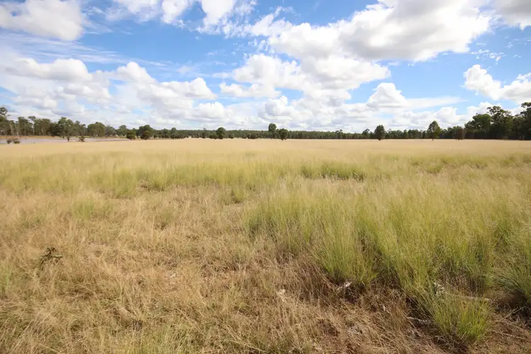 Sixth view of Homely rural property listing, 709 Nobbs Road, Burra Burri, Chinchilla QLD 4413