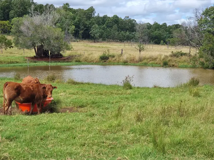 Sixth view of Homely rural property listing, 725 Mount Mceuen Road, Wondai QLD 4606