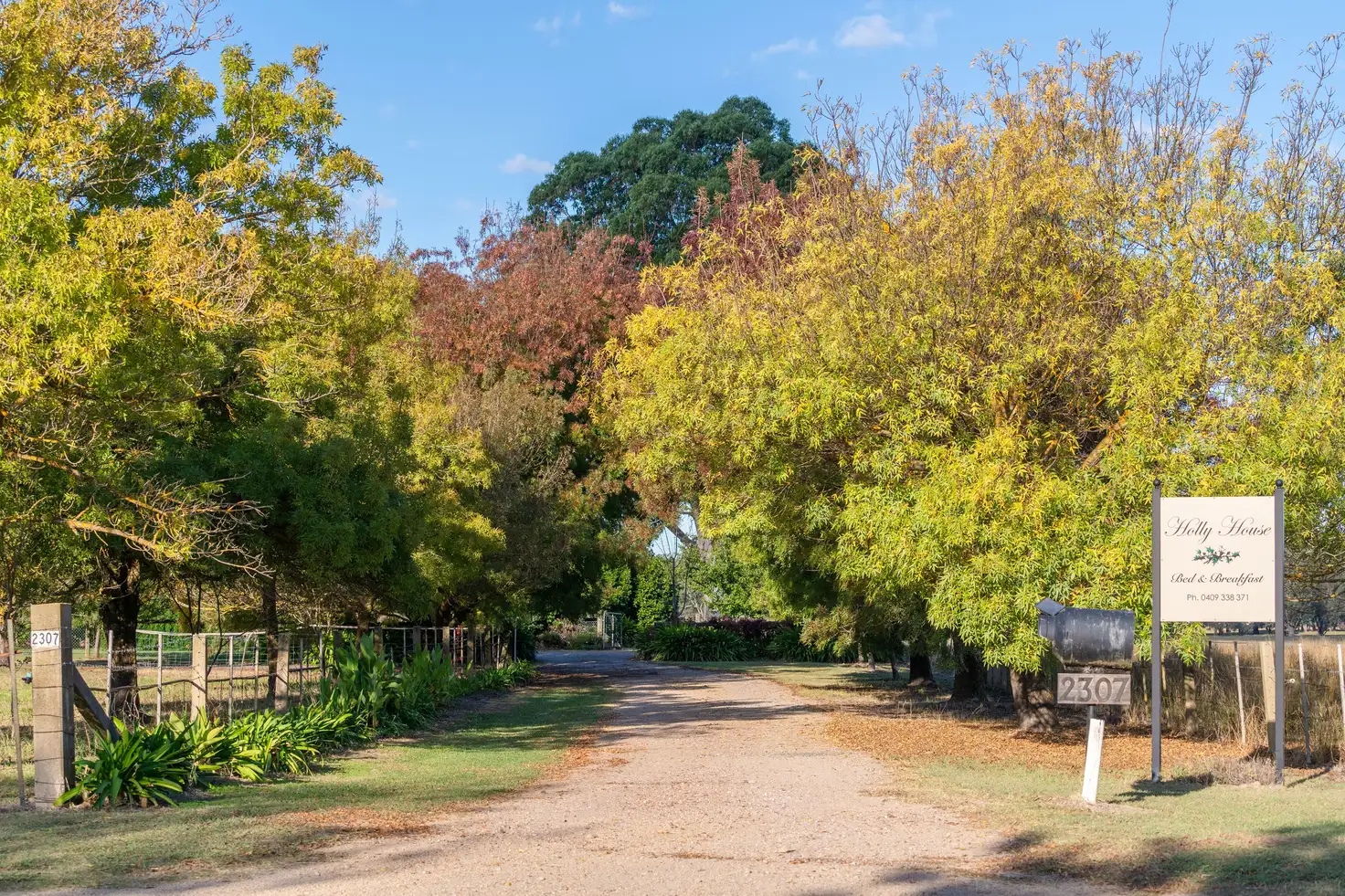 Main view of Homely rural property listing, 2307 Wangaratta-Whitfield Road, Moyhu VIC 3732