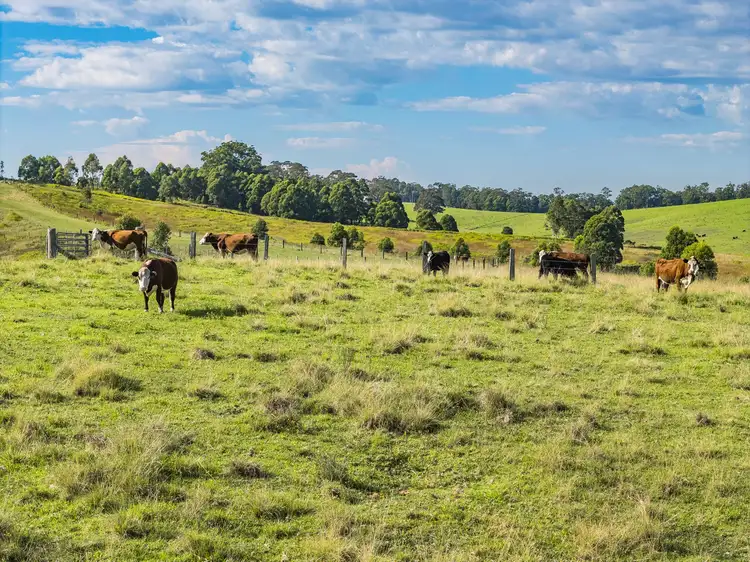 Seventh view of Homely rural property listing, 846 Glen Martin Road, Glen Martin NSW 2321