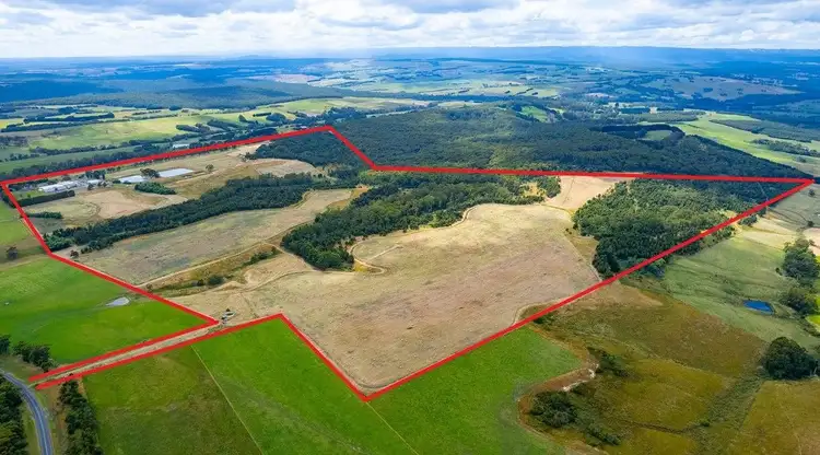 Fifth view of Homely rural property listing, 2492 Lavers Hill-Cobden Road, Simpson VIC 3266
