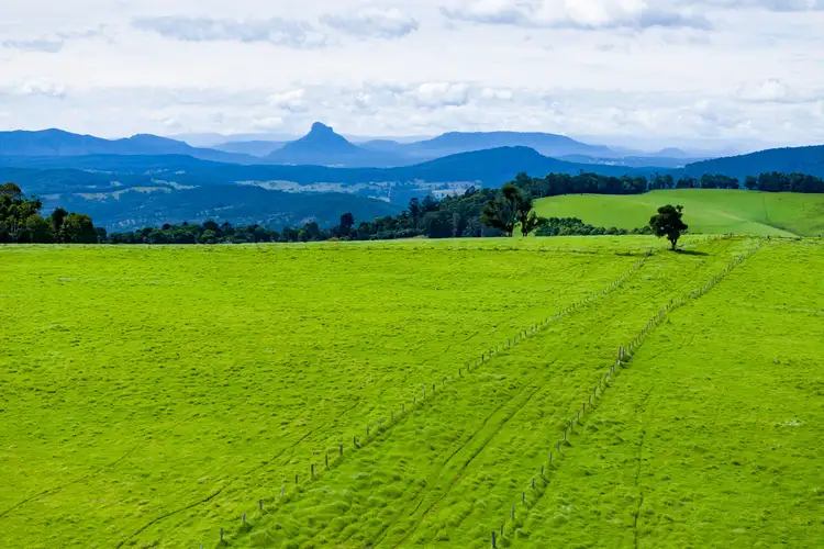 889 Acacia Plateau Road, Legume NSW 2476